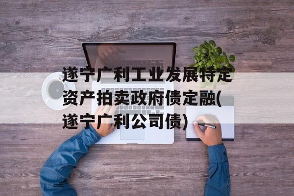 遂宁广利工业发展特定资产拍卖政府债定融(遂宁广利公司债)