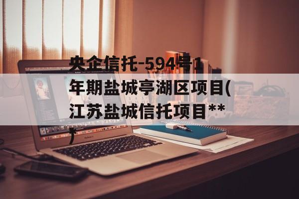 央企信托-594号1年期盐城亭湖区项目(江苏盐城信托项目***
)