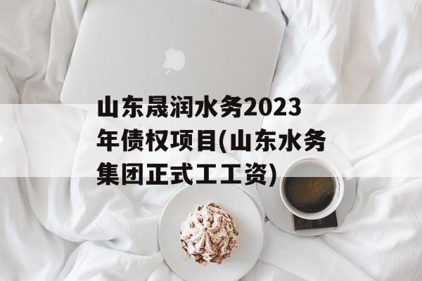 山东晟润水务2023年债权项目(山东水务集团正式工工资)