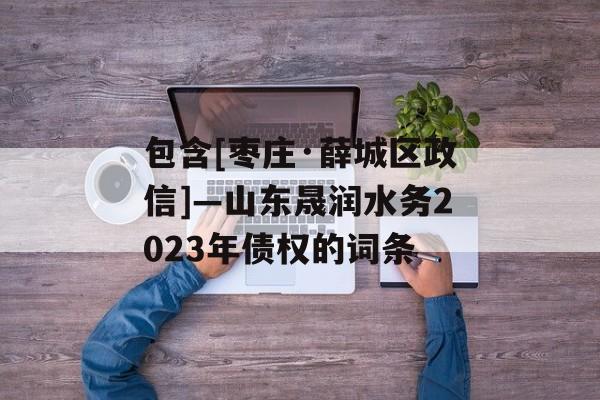 包含[枣庄·薛城区政信]—山东晟润水务2023年债权的词条