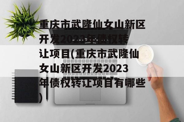 重庆市武隆仙女山新区开发2023年债权转让项目(重庆市武隆仙女山新区开发2023年债权转让项目有哪些)