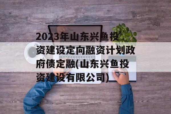 2023年山东兴鱼投资建设定向融资计划政府债定融(山东兴鱼投资建设有限公司)