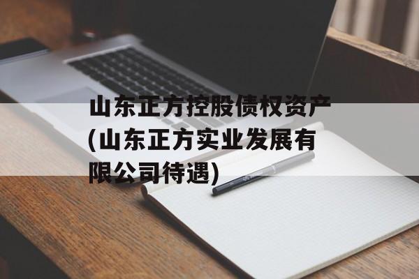 山东正方控股债权资产(山东正方实业发展有限公司待遇)