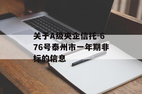 关于A级央企信托-676号泰州市一年期非标的信息