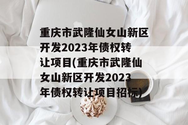 重庆市武隆仙女山新区开发2023年债权转让项目(重庆市武隆仙女山新区开发2023年债权转让项目招标)