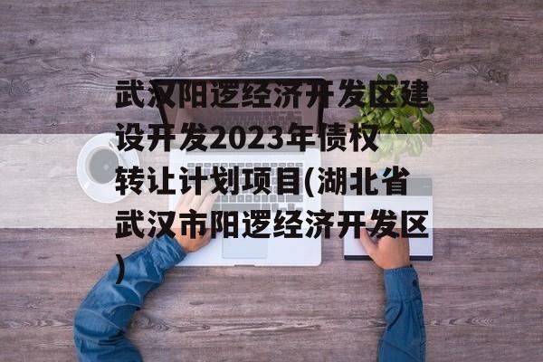 武汉阳逻经济开发区建设开发2023年债权转让计划项目(湖北省武汉市阳逻经济开发区)