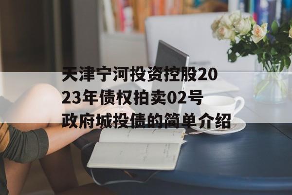 天津宁河投资控股2023年债权拍卖02号政府城投债的简单介绍