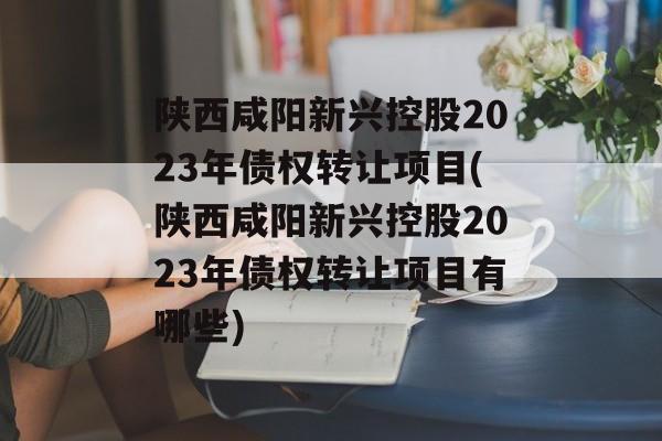 陕西咸阳新兴控股2023年债权转让项目(陕西咸阳新兴控股2023年债权转让项目有哪些)