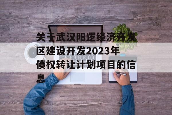 关于武汉阳逻经济开发区建设开发2023年债权转让计划项目的信息