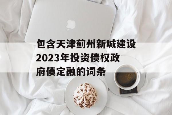 包含天津蓟州新城建设2023年投资债权政府债定融的词条