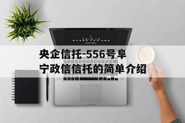 央企信托-556号阜宁政信信托的简单介绍