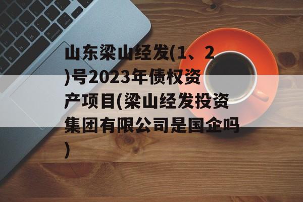 山东梁山经发(1、2)号2023年债权资产项目(梁山经发投资集团有限公司是国企吗)