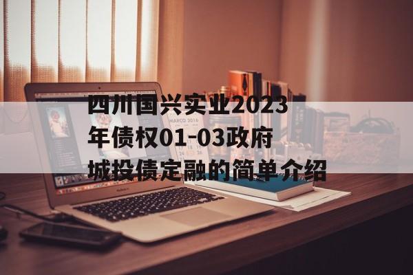 四川国兴实业2023年债权01-03政府城投债定融的简单介绍