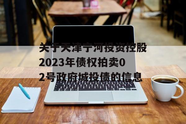 关于天津宁河投资控股2023年债权拍卖02号政府城投债的信息