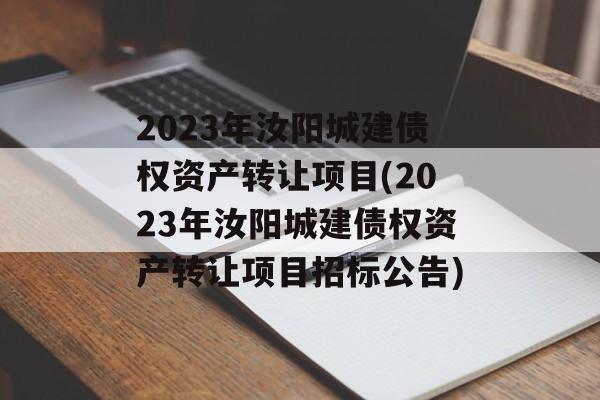 2023年汝阳城建债权资产转让项目(2023年汝阳城建债权资产转让项目招标公告)