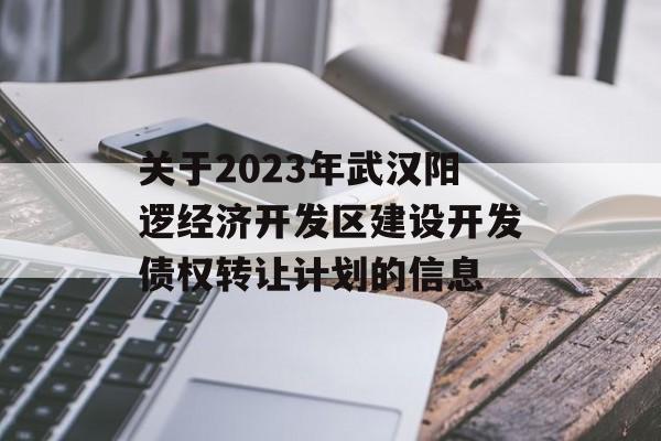 关于2023年武汉阳逻经济开发区建设开发债权转让计划的信息