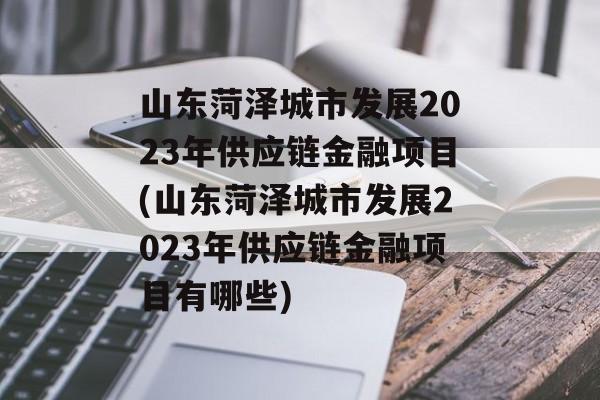 山东菏泽城市发展2023年供应链金融项目(山东菏泽城市发展2023年供应链金融项目有哪些)