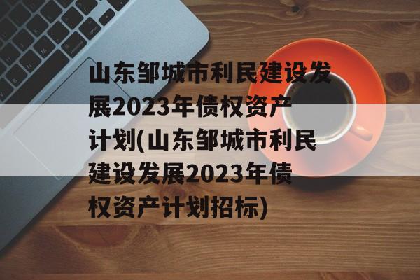 山东邹城市利民建设发展2023年债权资产计划(山东邹城市利民建设发展2023年债权资产计划招标)