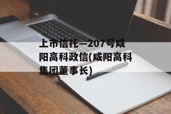 上市信托—207号咸阳高科政信(咸阳高科集团董事长)