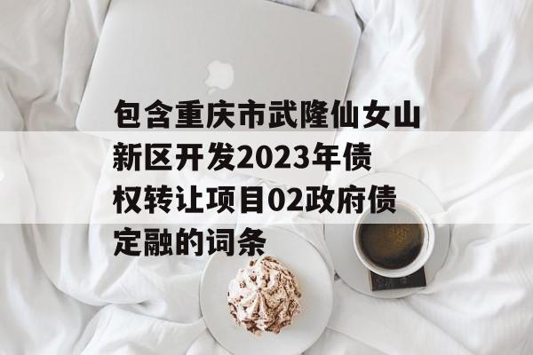 包含重庆市武隆仙女山新区开发2023年债权转让项目02政府债定融的词条