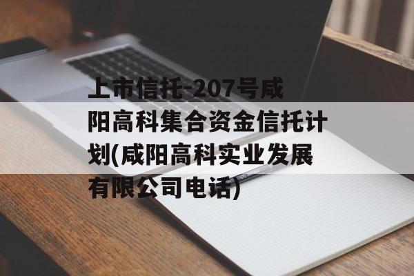 上市信托-207号咸阳高科集合资金信托计划(咸阳高科实业发展有限公司电话)