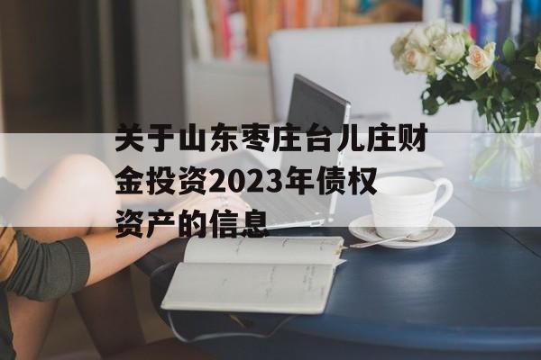 关于山东枣庄台儿庄财金投资2023年债权资产的信息
