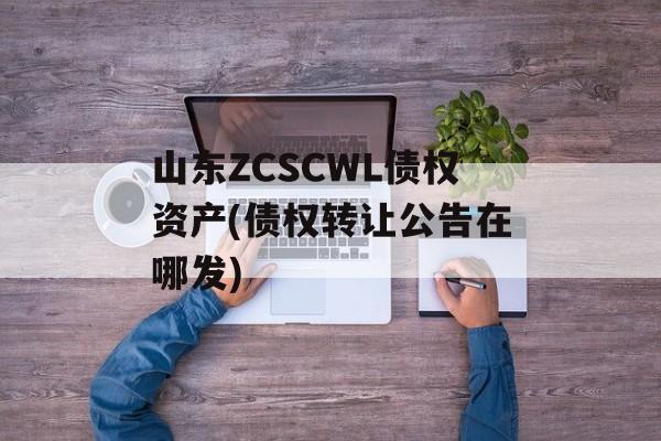 山东ZCSCWL债权资产(债权转让公告在哪发)