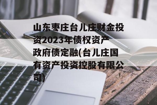 山东枣庄台儿庄财金投资2023年债权资产政府债定融(台儿庄国有资产投资控股有限公司)