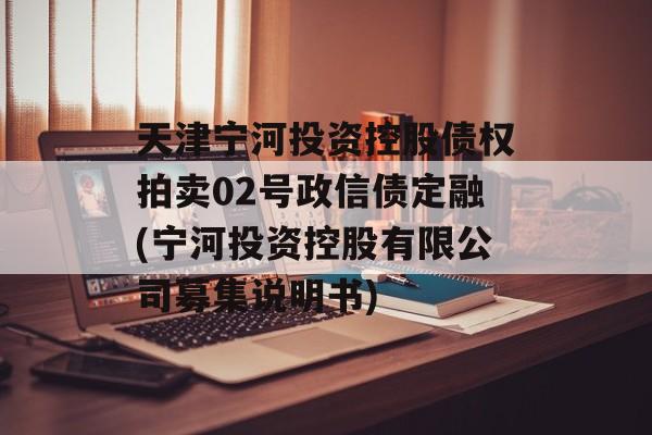 天津宁河投资控股债权拍卖02号政信债定融(宁河投资控股有限公司募集说明书)