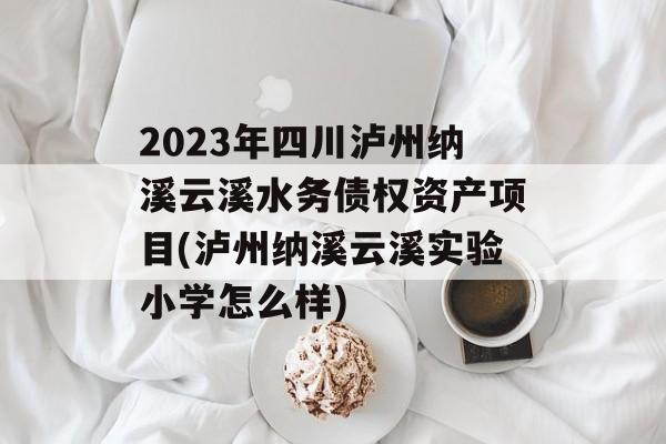 2023年四川泸州纳溪云溪水务债权资产项目(泸州纳溪云溪实验小学怎么样)