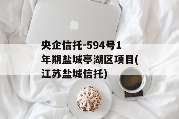 央企信托-594号1年期盐城亭湖区项目(江苏盐城信托)