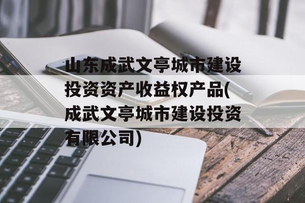 山东成武文亭城市建设投资资产收益权产品(成武文亭城市建设投资有限公司)