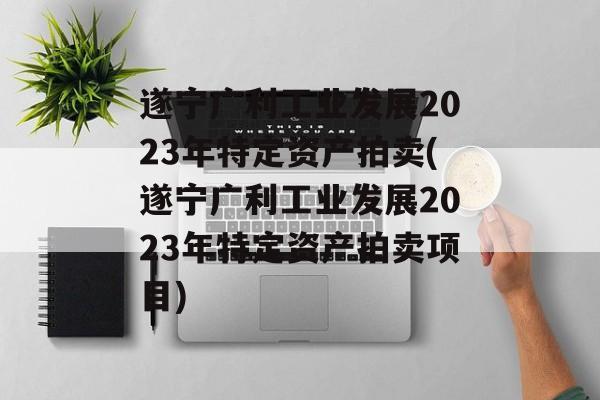 遂宁广利工业发展2023年特定资产拍卖(遂宁广利工业发展2023年特定资产拍卖项目)