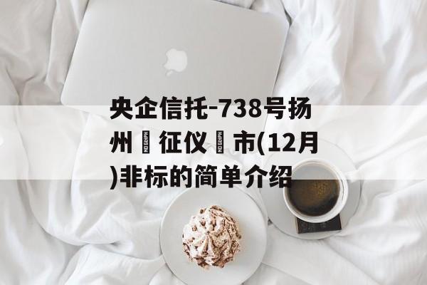 央企信托-738号扬州‮征仪‬市(12月)非标的简单介绍