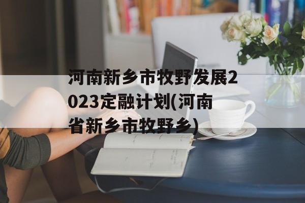 河南新乡市牧野发展2023定融计划(河南省新乡市牧野乡)