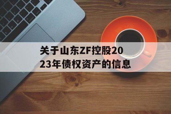 关于山东ZF控股2023年债权资产的信息