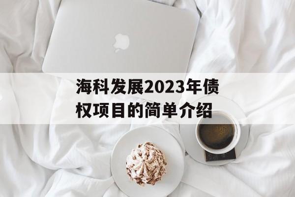 海科发展2023年债权项目的简单介绍