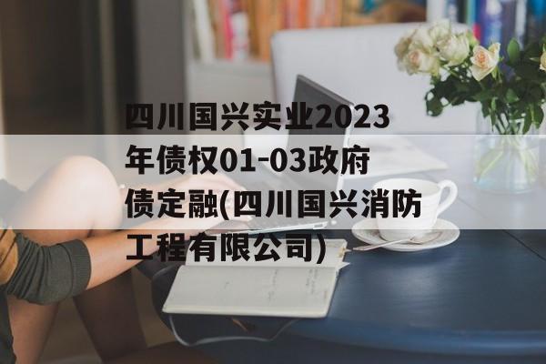 四川国兴实业2023年债权01-03政府债定融(四川国兴消防工程有限公司)