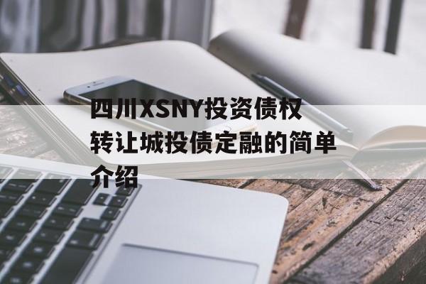四川XSNY投资债权转让城投债定融的简单介绍