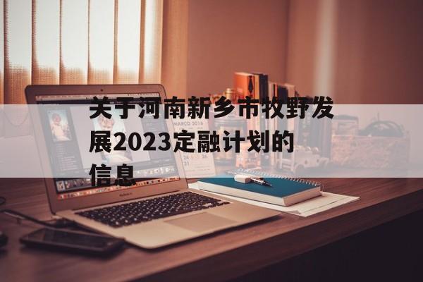 关于河南新乡市牧野发展2023定融计划的信息