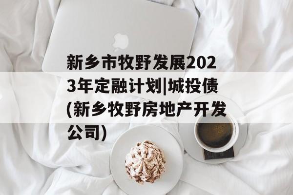 新乡市牧野发展2023年定融计划|城投债(新乡牧野房地产开发公司)