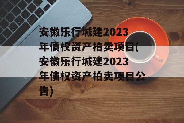 安徽乐行城建2023年债权资产拍卖项目(安徽乐行城建2023年债权资产拍卖项目公告)