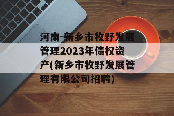 河南-新乡市牧野发展管理2023年债权资产(新乡市牧野发展管理有限公司招聘)