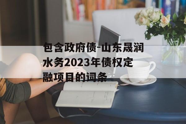 包含政府债-山东晟润水务2023年债权定融项目的词条