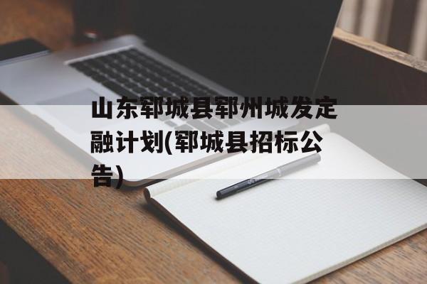 山东郓城县郓州城发定融计划(郓城县招标公告)