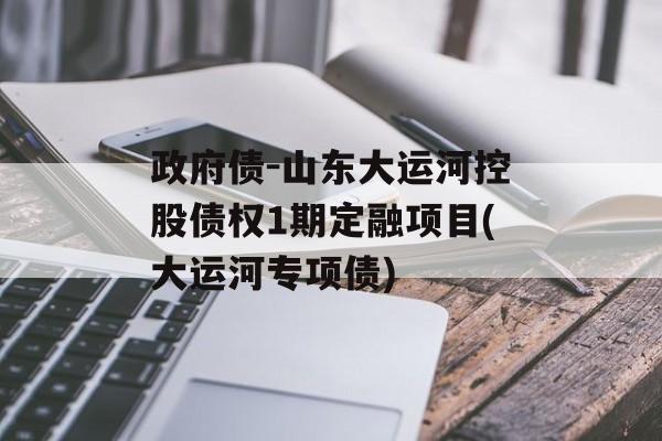 政府债-山东大运河控股债权1期定融项目(大运河专项债)