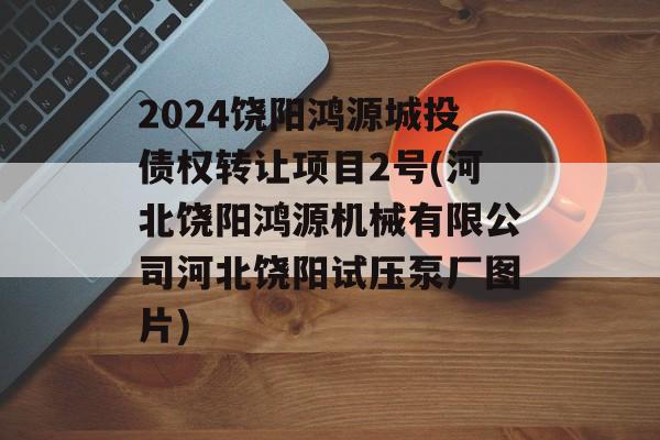 2024饶阳鸿源城投债权转让项目2号(河北饶阳鸿源机械有限公司河北饶阳试压泵厂图片)