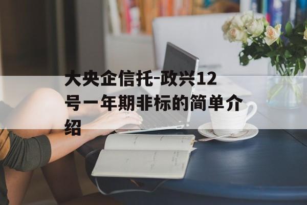 大央企信托-政兴12号一年期非标的简单介绍