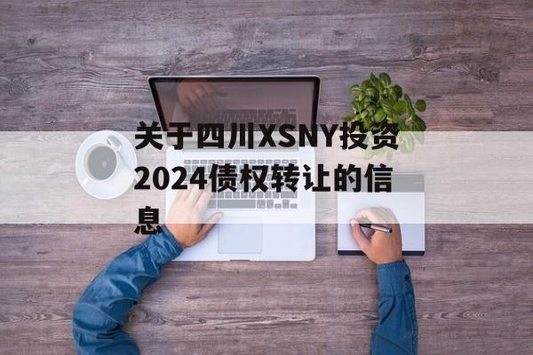 关于四川XSNY投资2024债权转让的信息