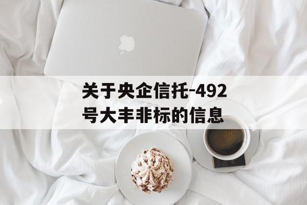 关于央企信托-492号大丰非标的信息